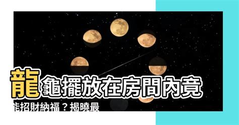 龍龜擺放房間|龍龜可以放房間嗎？臥室擺放助好眠、保平安 